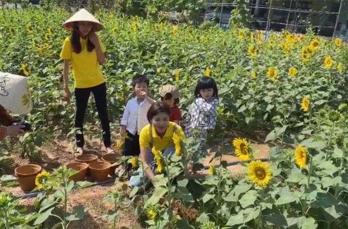 Hoa hậu đông con nhất Việt Nam thông báo nợ 10 tỷ, muốn sang Campuchia làm lại từ đầu - Ảnh 2.