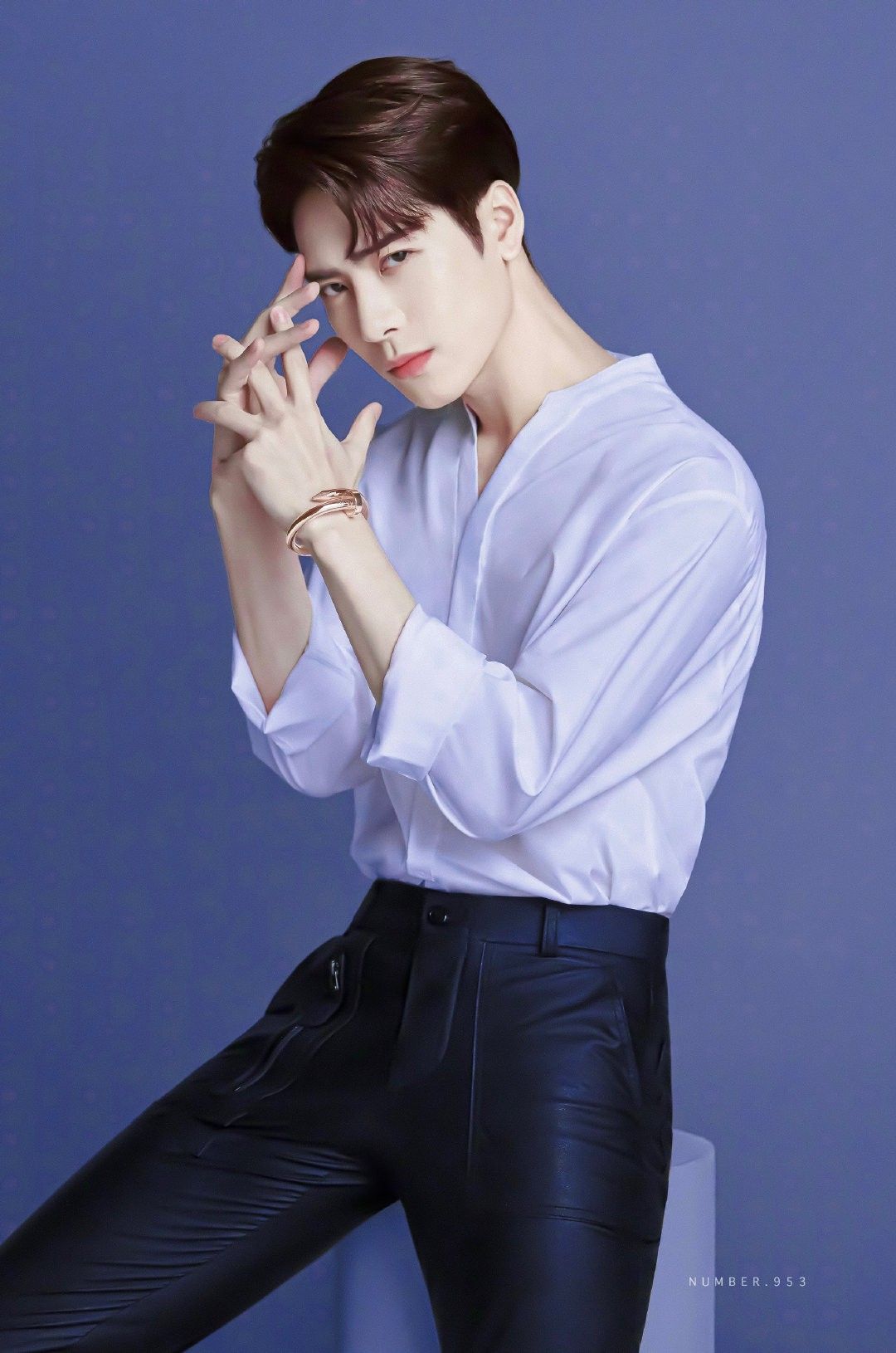 Chân dung Vương Gia Nhĩ