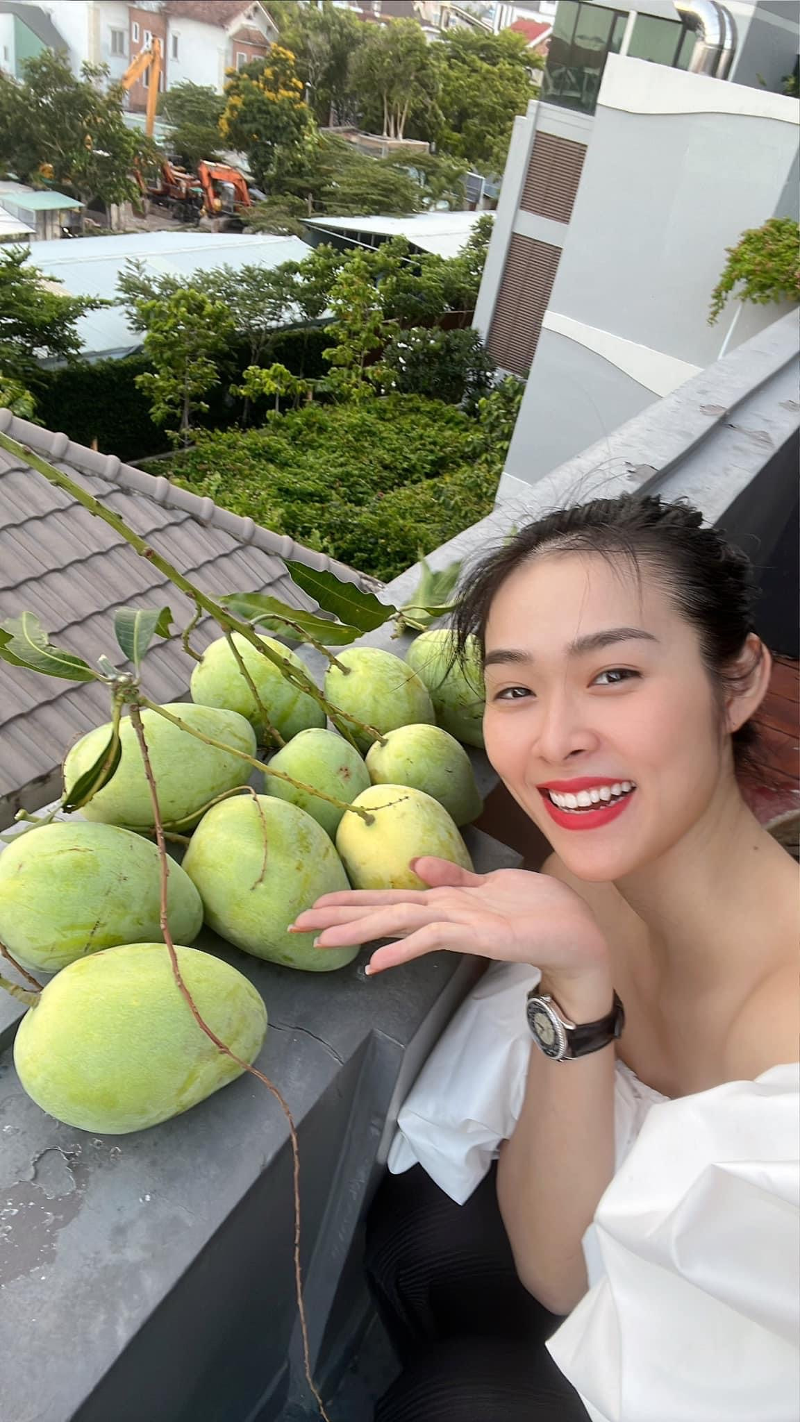 Diệp Bảo Ngọc cùng bạn trai lâu năm