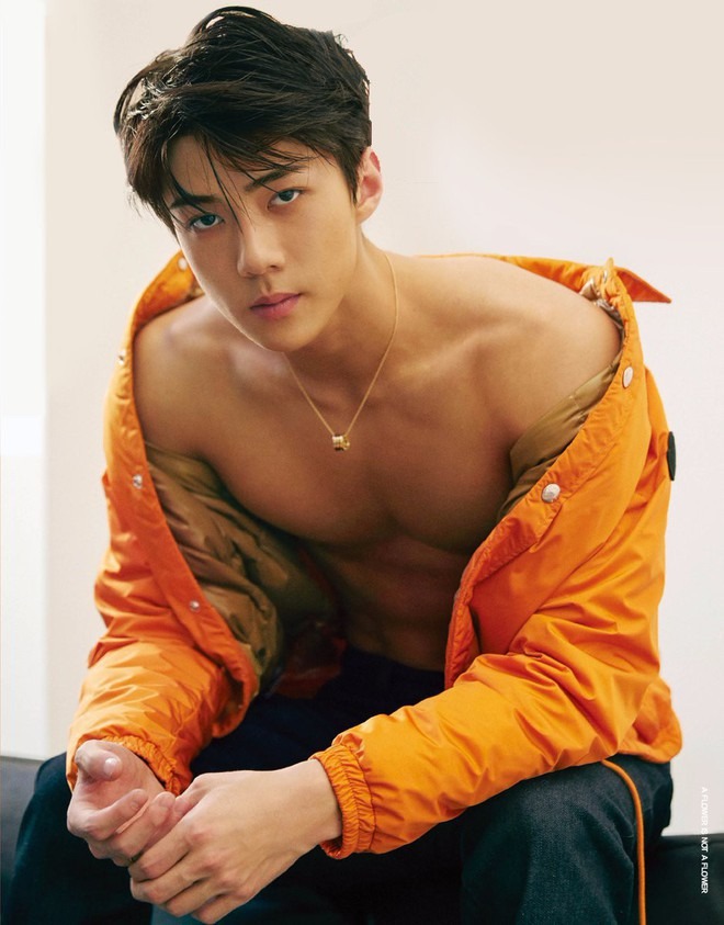 Sehun là em út tài năng, đắt giá của EXO