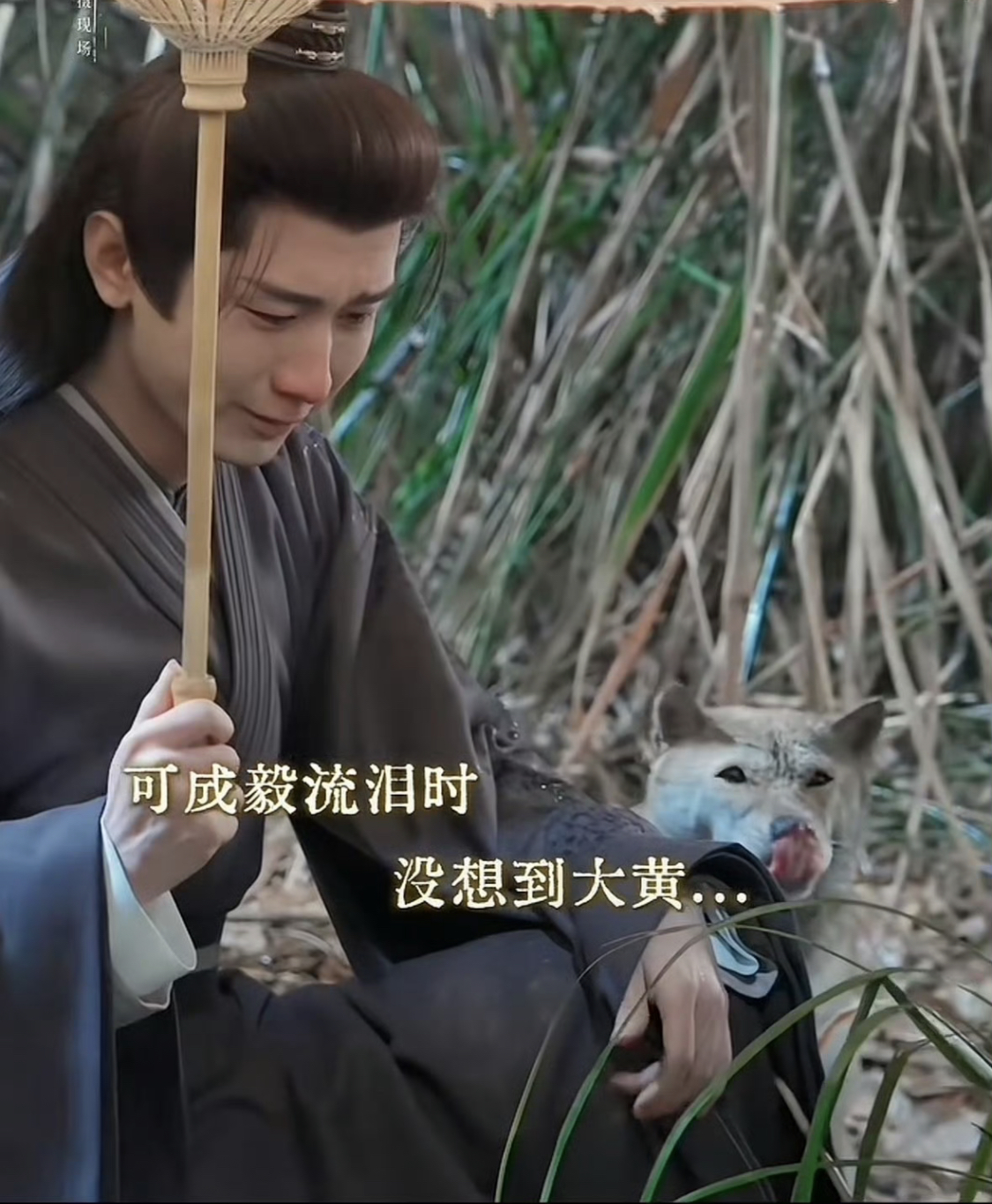 Cảnh khóc giữa tuyết lạnh Tạ Hoài An khóc trong tuyết